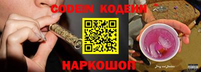 СК Кингисепп