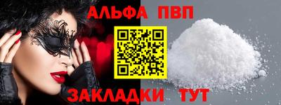 СК Кингисепп