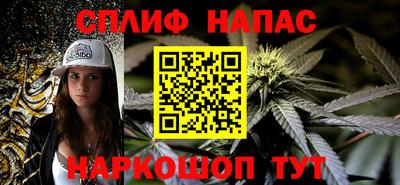 СК Кингисепп