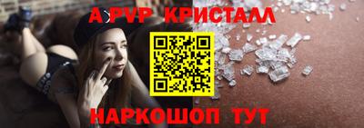 СК Кингисепп