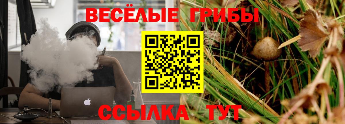 Псилоцибиновые грибы прущие грибы  Вход с VPN  Коряжма 